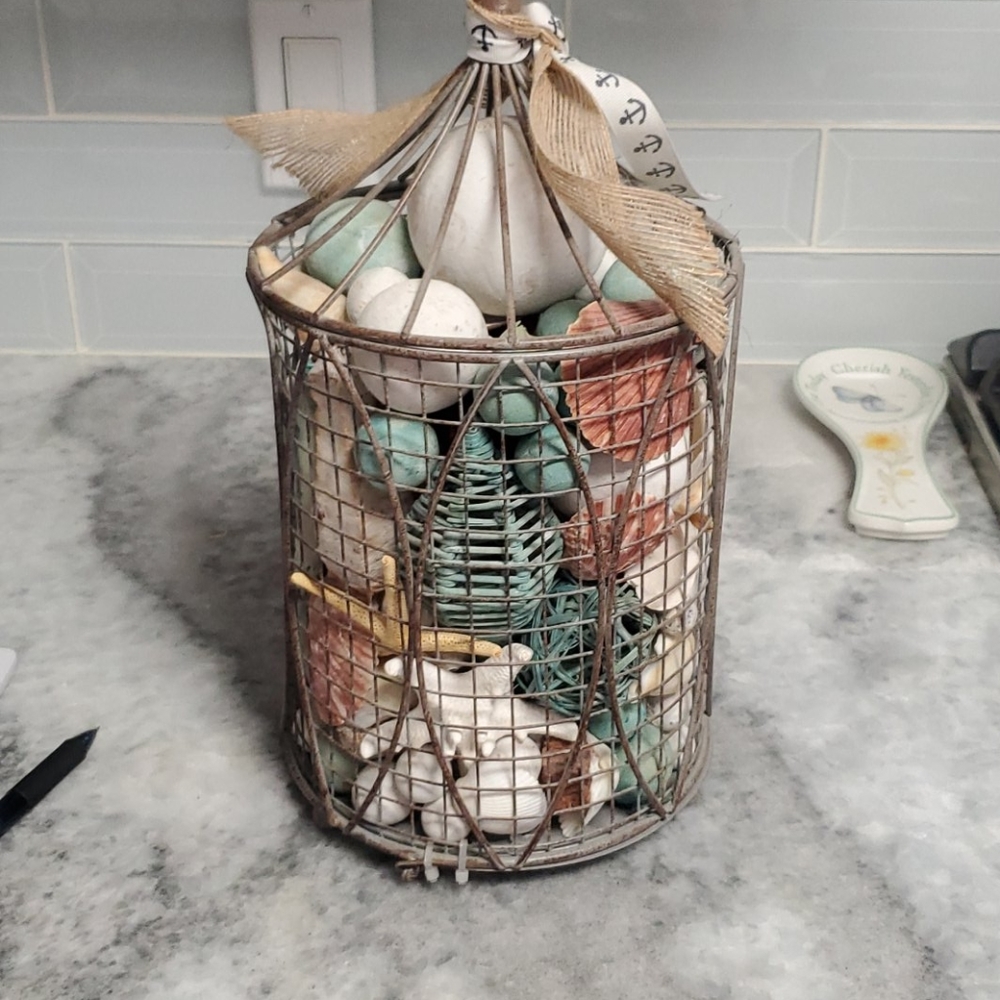 Shell coastal decor